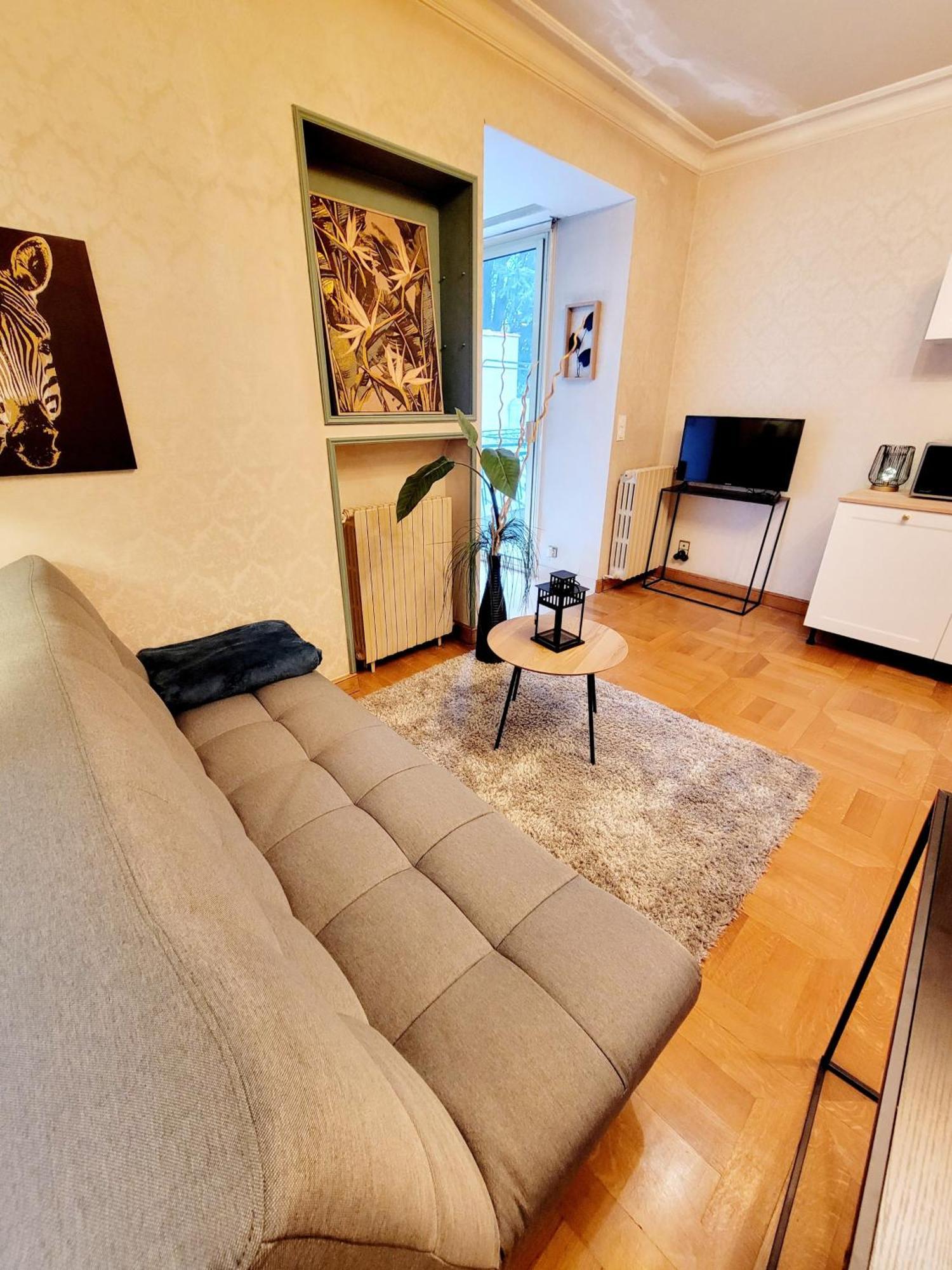 Superbe Appartement Calme Et Spacieux Graulhet Экстерьер фото